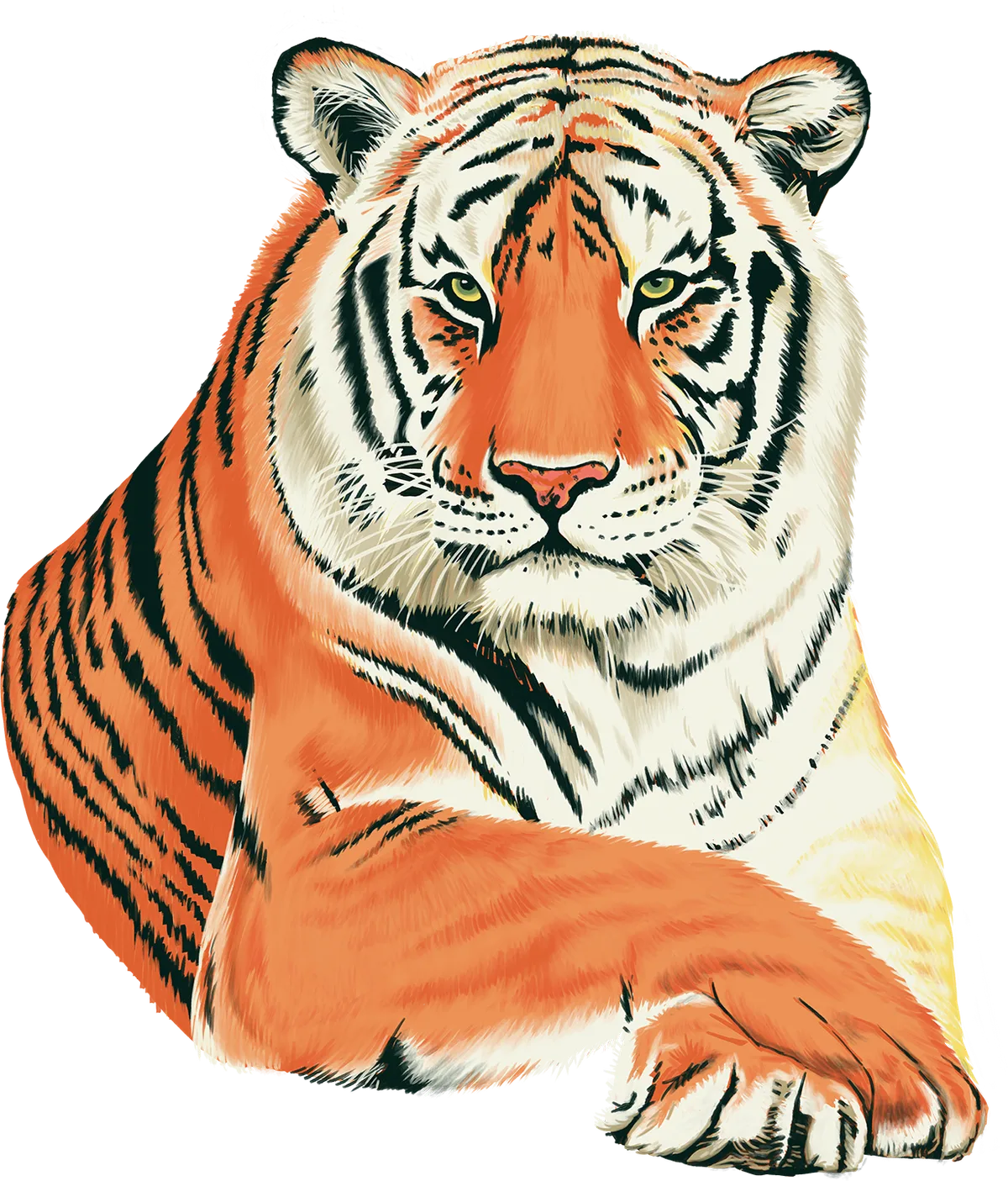 Illustrated tiger resting among fynbos and lilies, paws crossed